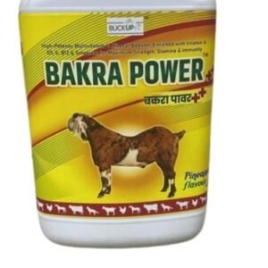 bakra power